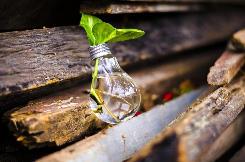 bulb, light, nature, recycle, water, green, recycle, recycle, recycle, recycle, recycle